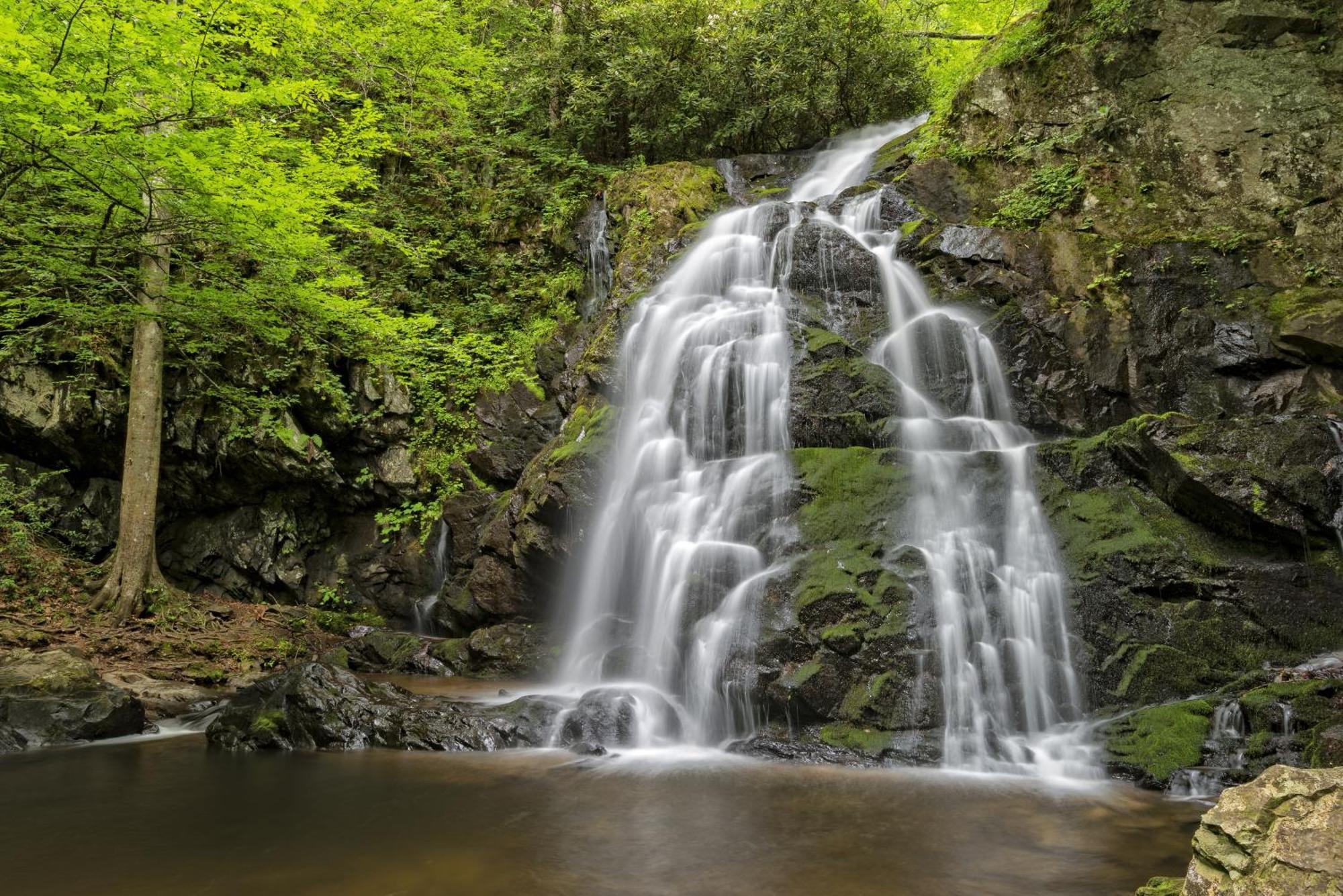 Amazing Grace-1089 Of Free Area Attraction Tickets For Each Paid Day!!! Villa Sevierville Buitenkant foto